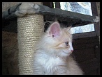 0011 2 mois